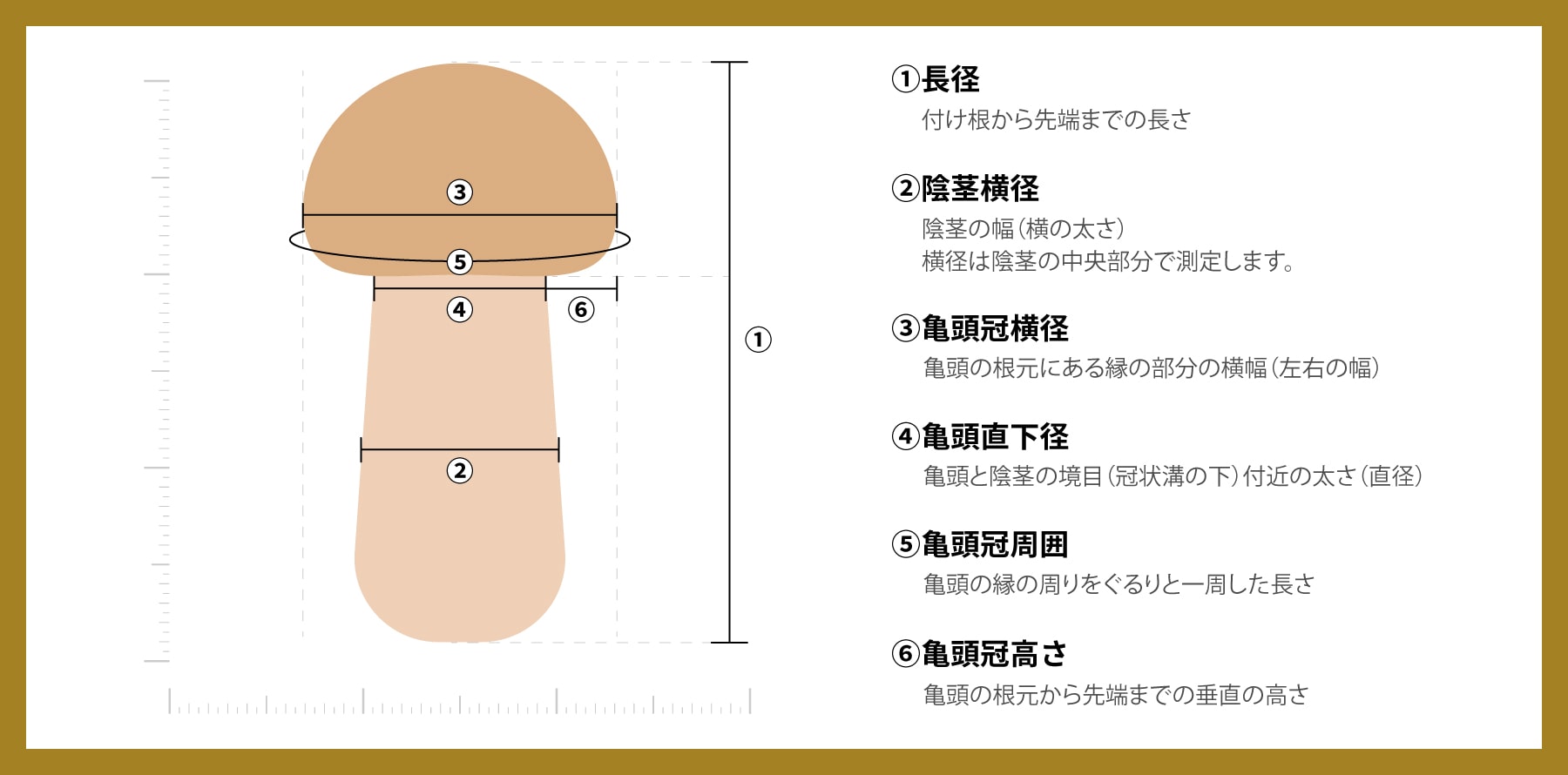 偏差ちん 図
