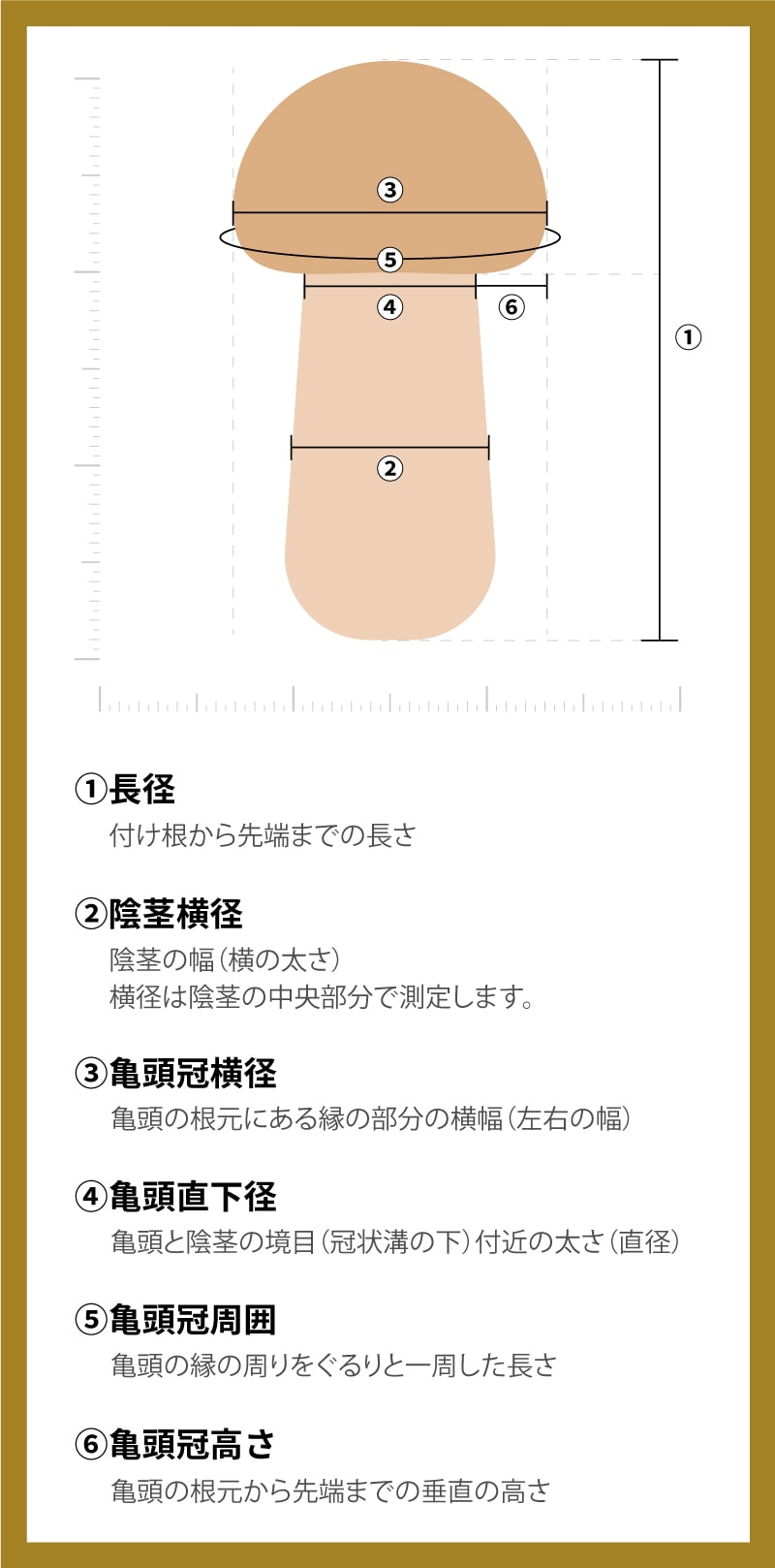 偏差ちん 図